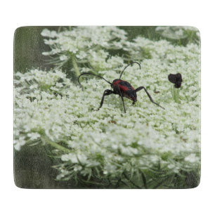 Tabla De Cortar Insectos en la flor de los viejos