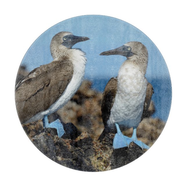 Tabla De Cortar Islas Galápagos, Isla Isabela (Anverso)