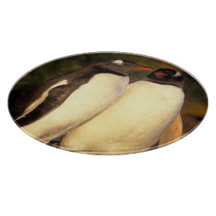 Tabla De Cortar Islas Malvinas. Pingüinos Gentoo. (Pyroscelis