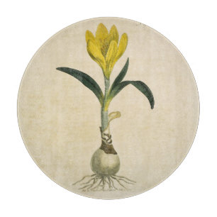 Tabla De Cortar Jardín Botánico de Tulipanes Amaryllis Flor