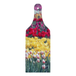 Tabla De Cortar jardín de exhibición de tulipanes en el valle de S