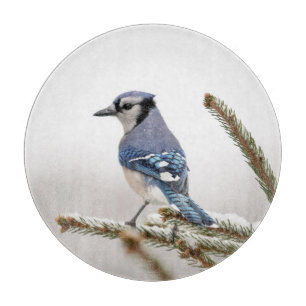 Tabla De Cortar Jay azul en invierno