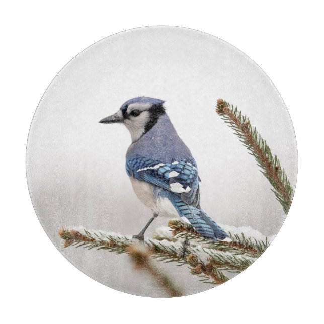 Tabla De Cortar Jay azul en invierno (Anverso)