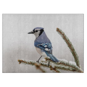 Tabla De Cortar Jay azul en invierno