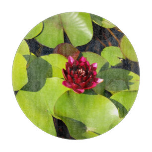 Tabla De Cortar Junta de corte de vidrio de Lily Water