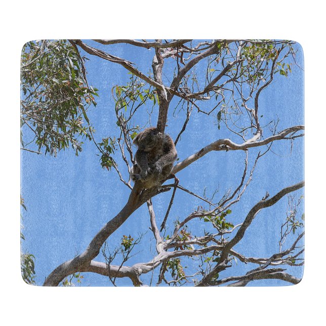 Tabla De Cortar Koala Nap (Anverso)