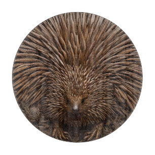 Tabla De Cortar La Quill de la Naturaleza: La Echidna Australiana