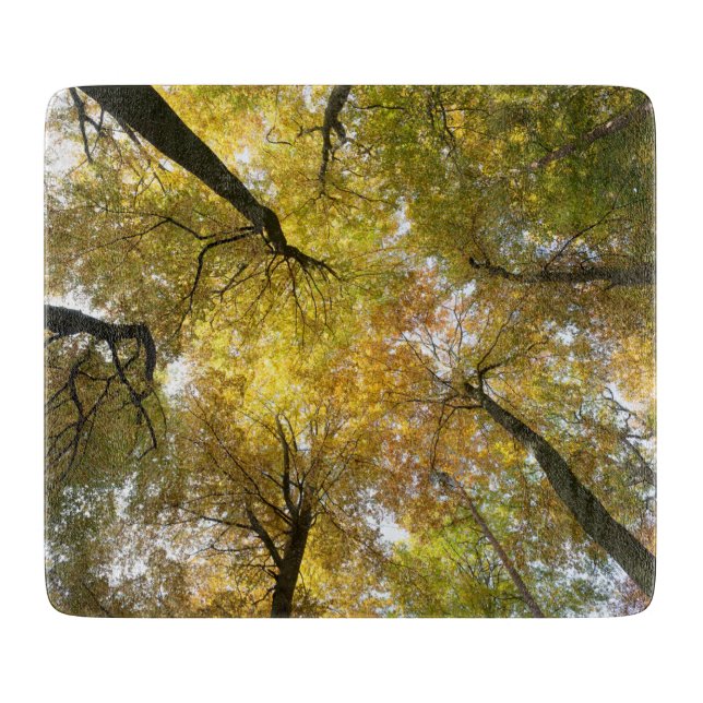 Tabla De Cortar Leafy Canopy (Anverso)