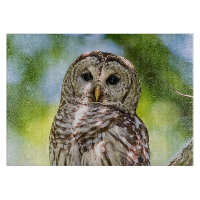 Tabla De Cortar Lechuza Barred (Anverso)