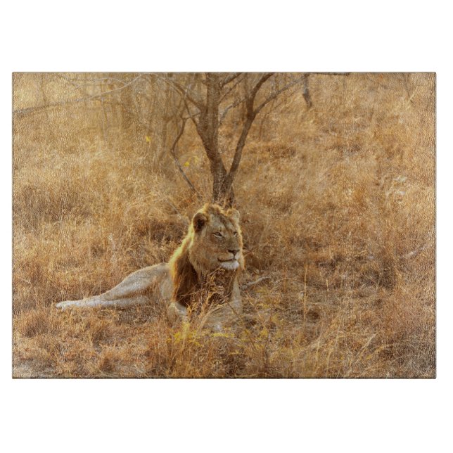 Tabla De Cortar León (Anverso)