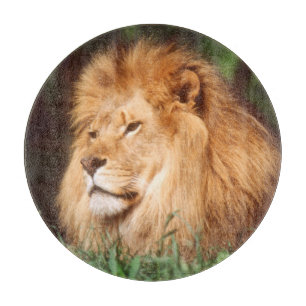 Tabla De Cortar León macho adulto