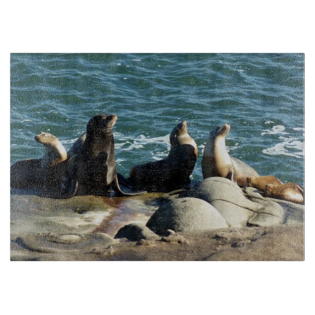 Tabla De Cortar Leones marinos de San Diego (Anverso)