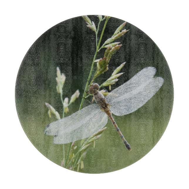 Tabla De Cortar Libélula Darner cubierta de rocío (Anverso)