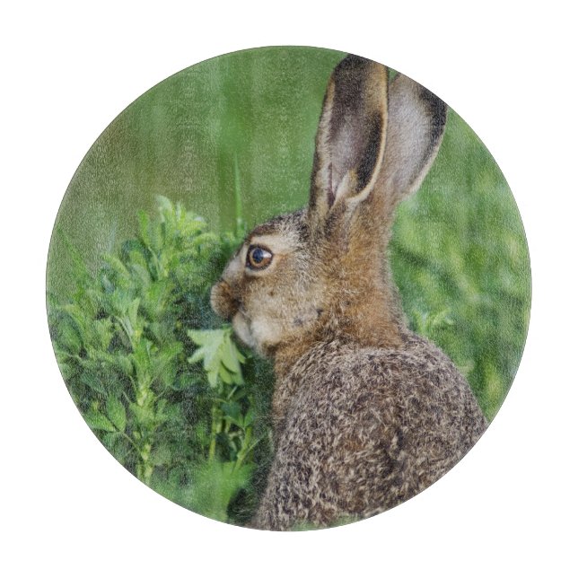 Tabla De Cortar Liebre parda, Lepus europaeus, joven comiendo, (Anverso)