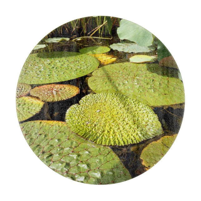 Tabla De Cortar Lily Pads Glass Chopping Board (Anverso)