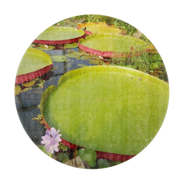 Tabla De Cortar Lily Pads Glass Chopping Board (Anverso)