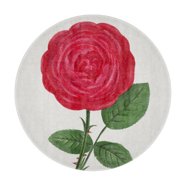 Tabla De Cortar Litografía de rosa antigua, François-Frédéric Grob (Anverso)