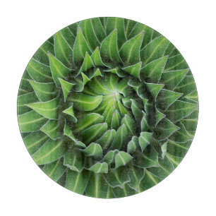 Tabla De Cortar Lobelia gigante Parque Nacional del Monte Kenia,