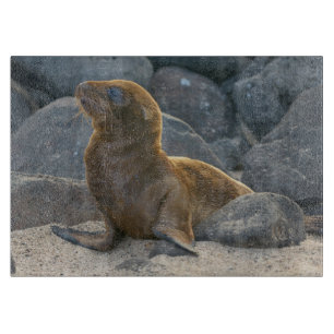 Tabla De Cortar Lobo Marino de Galápagos