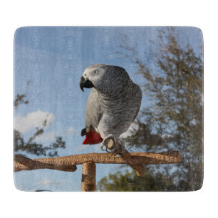 Tabla De Cortar Loro imponente del gris africano