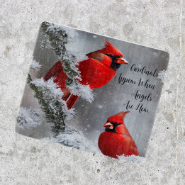 Tabla De Cortar Los ángeles de aves del cardenal rojo están cerca