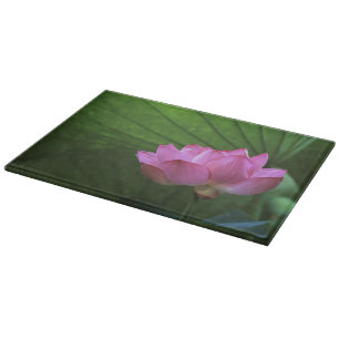 Tabla De Cortar Loto Ohga, Jardín Sankei-en, Yokohama, Japón