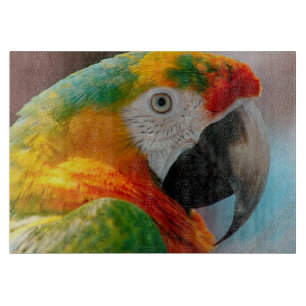 Tabla De Cortar Macaw hermoso