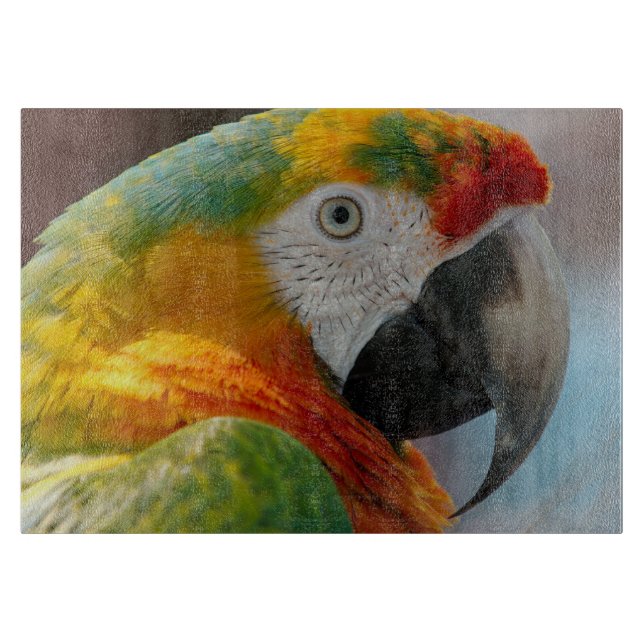 Tabla De Cortar Macaw hermoso (Anverso)