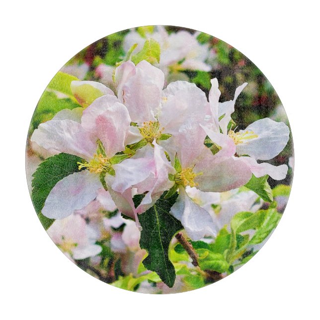 Tabla De Cortar Magnífica foto de Malus asiatica (Anverso)
