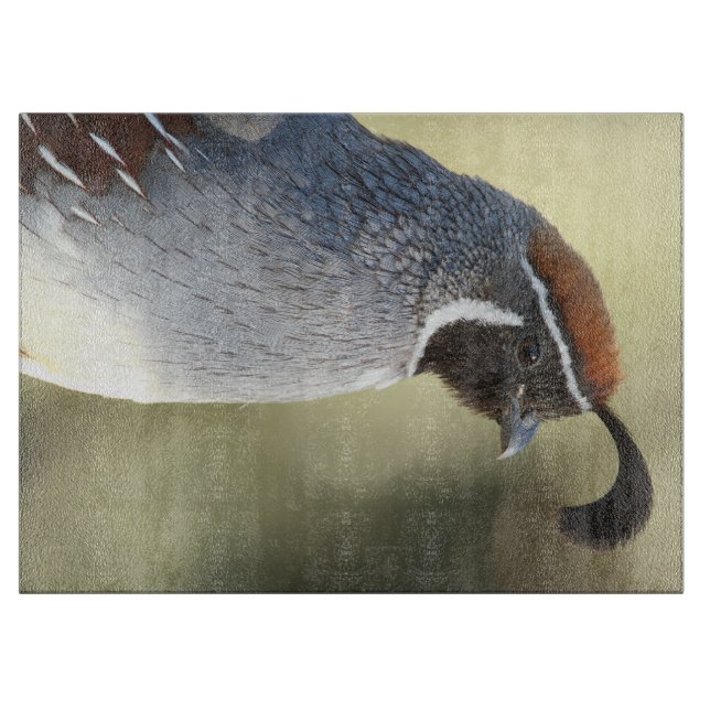 Tabla De Cortar Male Quail (Anverso)