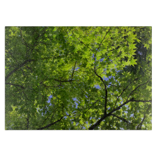 Tabla De Cortar Maple en primavera