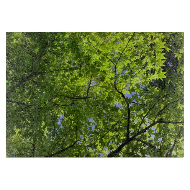 Tabla De Cortar Maple en primavera (Anverso)