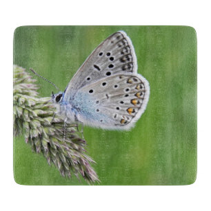Tabla De Cortar Mariposa Azul Común en Césped