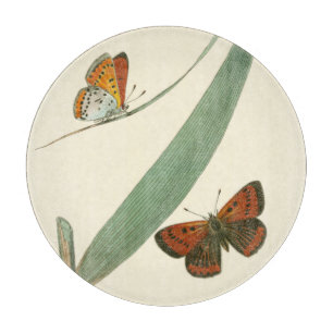Tabla De Cortar Mariposas coloridas que agitan alrededor de una