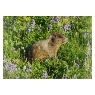 Tabla De Cortar Marmot en Mont Rainier Wildflowers
