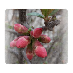 Tabla De Cortar membrillo silvestre floreciendo