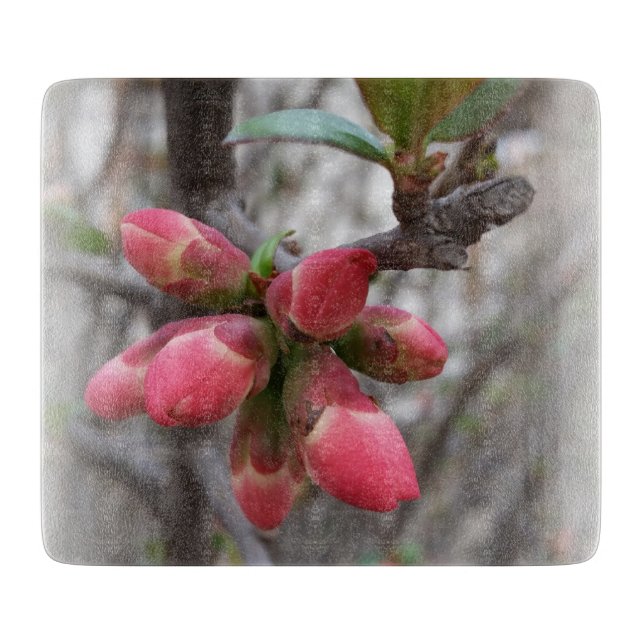 Tabla De Cortar membrillo silvestre floreciendo (Anverso)