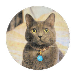 Tabla De Cortar Mims