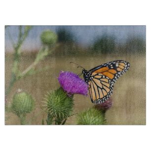 Tabla De Cortar Monarca en pradera de cardo de pradera Ridge