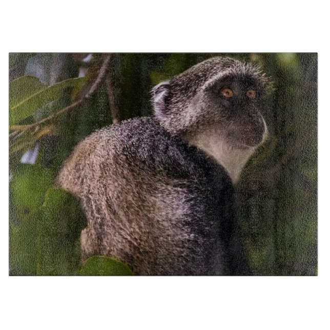 Tabla De Cortar Mono azul, Zanzíbar (Anverso)