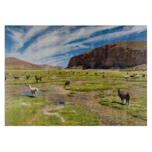 Tabla De Cortar Montañas   Andes bolivianos