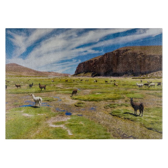 Tabla De Cortar Montañas | Andes bolivianos (Anverso)