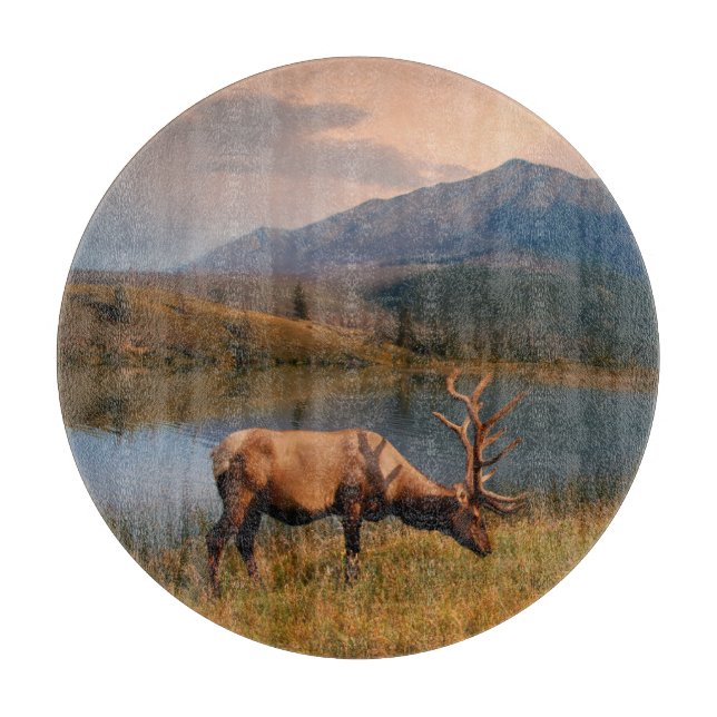 Tabla De Cortar Montañas | Jacques Mountain Range Alberta Canadá (Anverso)