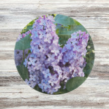 Morado Lilac Blooms Floral