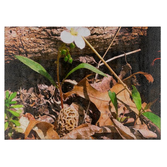 Tabla De Cortar Morel (Anverso)