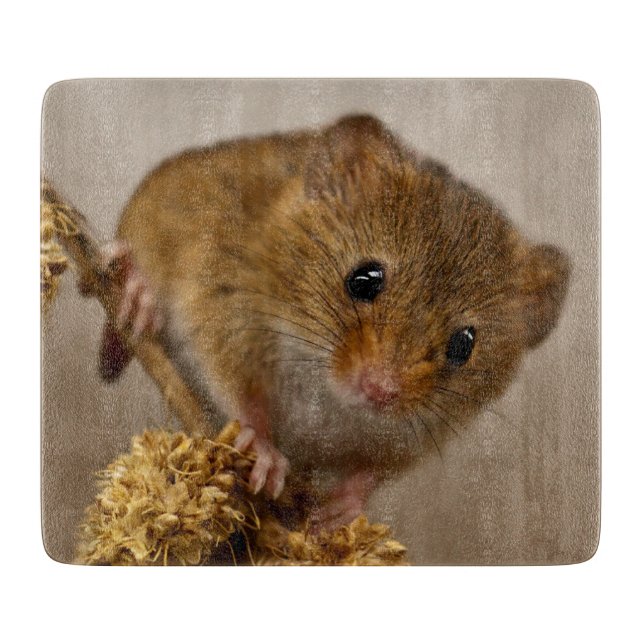Tabla de cortar Mousie (Anverso)