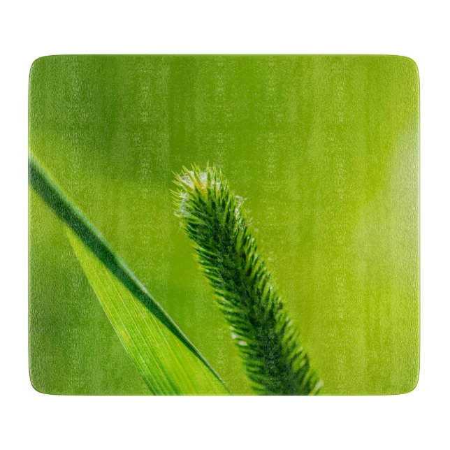 Tabla De Cortar Mundo Verde (Anverso)
