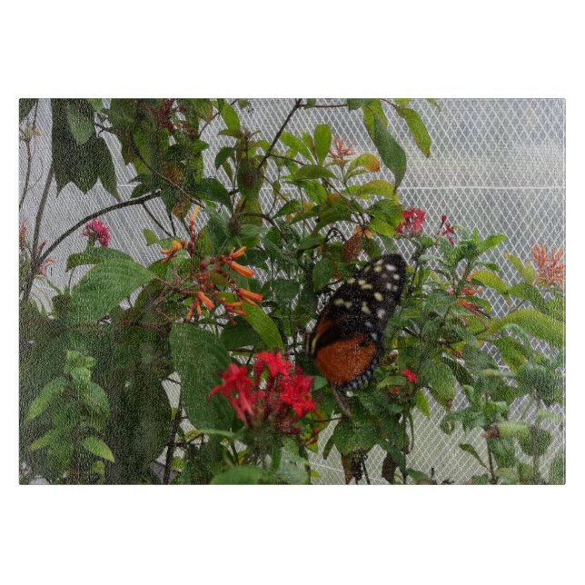 TABLA DE CORTAR NARANJA BUTTERFLY (Anverso)