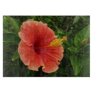 Tabla De Cortar Naranja Hibiscus Flower Tropical Floral