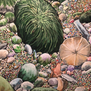 Tabla De Cortar Nueva colección de aves